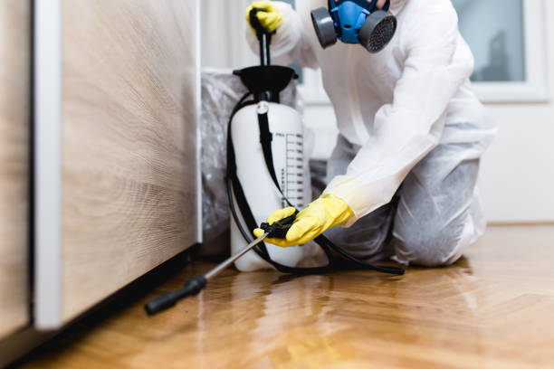 Best Best Pest Control Companies  in Douglasville, GA