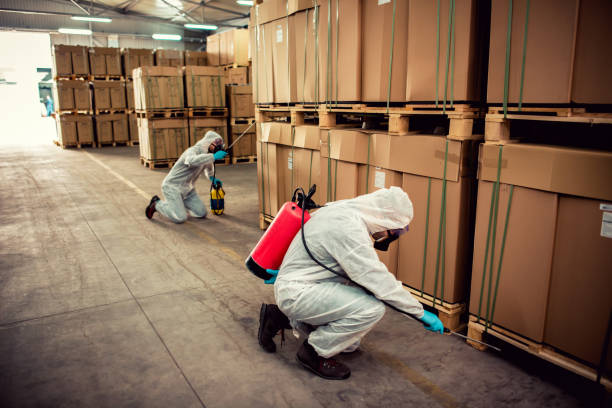 Pest Control Cost in Douglasville, GA
