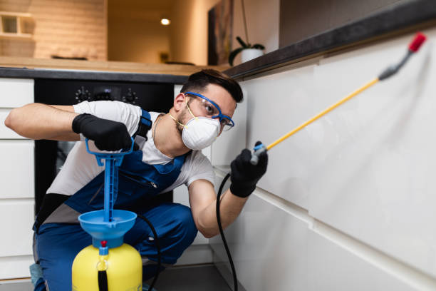 Best Pest Removal Services  in Douglasville, GA
