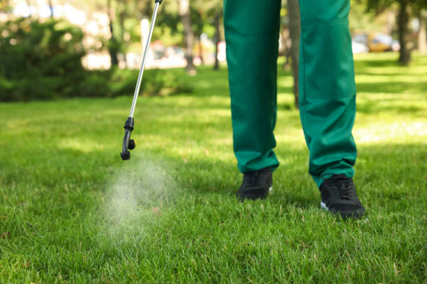Best Flea Control Services  in Douglasville, GA