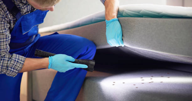 Best Affordable Pest Control Services  in Douglasville, GA