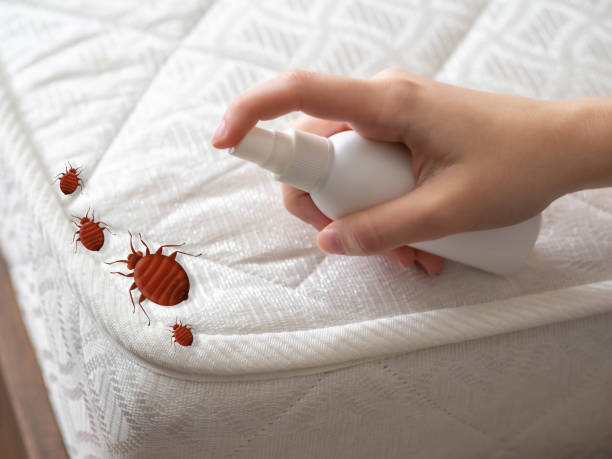 Best Pest Control for Businesses  in Douglasville, GA