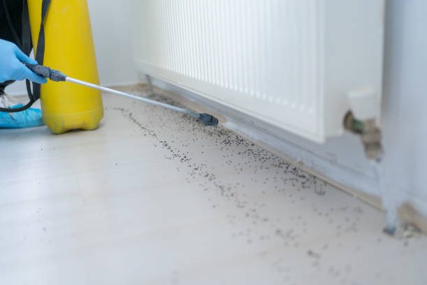 Professional Pest Control in Douglasville, GA