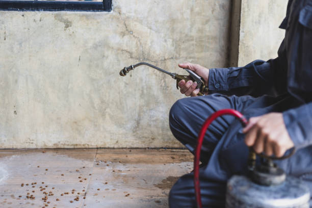 Best Best Pest Control Companies  in Douglasville, GA